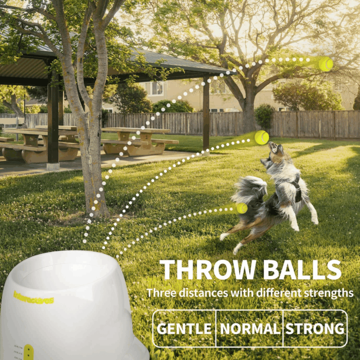 Dog launcher dog server interactive toy tennis ball throwing machine automatic throwing machine pet toy; dog gifts - Image 3