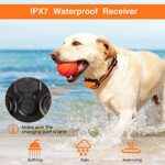 Dog Training Collar; Waterproof Shock Collars for Dog with Remote Range 1640 ft; 3 Training Modes; Beep; Vibration and Shock; Rechargeable Electric Dog Collar for Small Medium Large Dogs - Image 5
