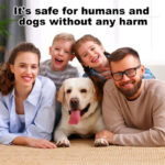 Dog Barking Control Training Devices Deterrent with LED Flashlight - Image 3