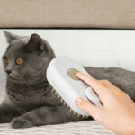 Foldable Rechargeable Cat Steamy Grooming Brush Cleaning Tool - Image 2
