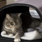 PawHut Heated Cat House Outdoor Portable Heated Cat Houses, Elevated Waterproof and Insulated A Safe Pet House Stay Warm and Dry Brown - Image 7