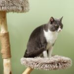 PawHut 35 Inch Modern Cat Tree for Indoor Adult Cats, with Wooden Scratching Posts, Cat Bed, Rope Cat Toy, Brown - Image 7