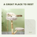 PawHut 35 Inch Modern Cat Tree for Indoor Adult Cats, with Wooden Scratching Posts, Cat Bed, Rope Cat Toy, Brown - Image 5