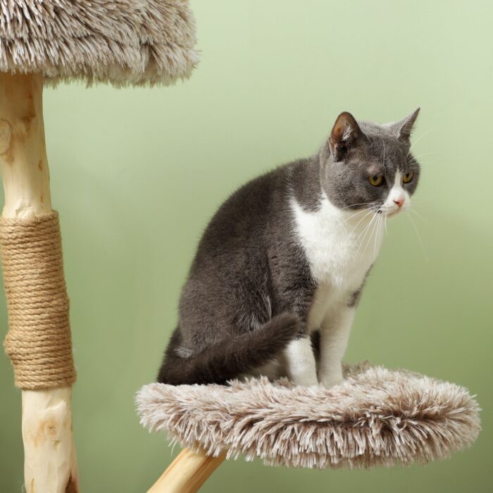 PawHut 35 Inch Modern Cat Tree for Indoor Adult Cats, with Wooden Scratching Posts, Cat Bed, Rope Cat Toy, Brown - Image 7