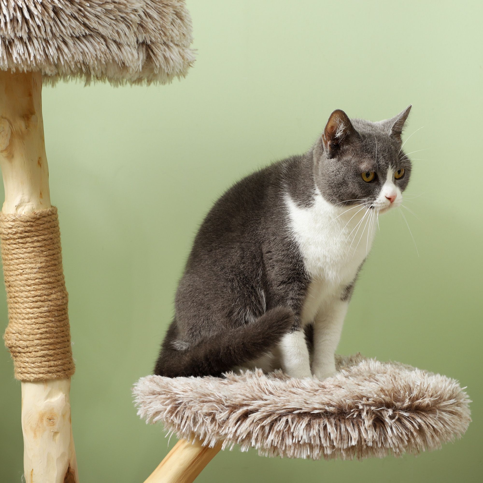 d0102774w4j PawHut 35 Inch Modern Cat Tree for Indoor Adult Cats, with Wooden Scratching Posts, Cat Bed, Rope Cat Toy, Brown - Image 7