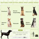 PawHut Extra Large Dog Portable Camping Tent with Carrying Bag for Beach Backyard Home in Green - Image 4