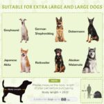 PawHut Pop Up Dog Tent for Extra Large and Large Dogs with Carry Bag, for Beach, Backyard, Home, Dark Gray - Image 4