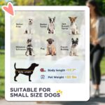 PawHut 3 in 1 Dog Stroller with Detachable Cabin, 4 Wheel Folding Lightweight Pet Stroller for Small Dogs, Gray - Image 6