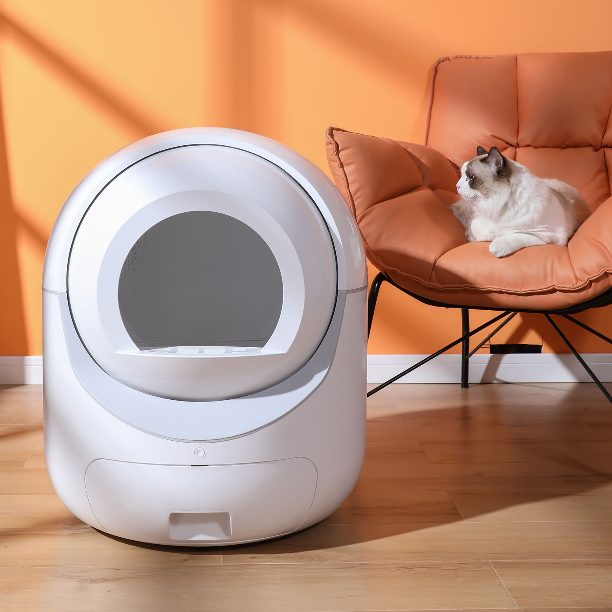 d0102h5uewp Smart Automatic Cat Litter Box,Automatic Scooping and Odor Removal, App Control, Support 5G&2.4G WiFi for Multiple Cats, Double Odor Removal - Image 3