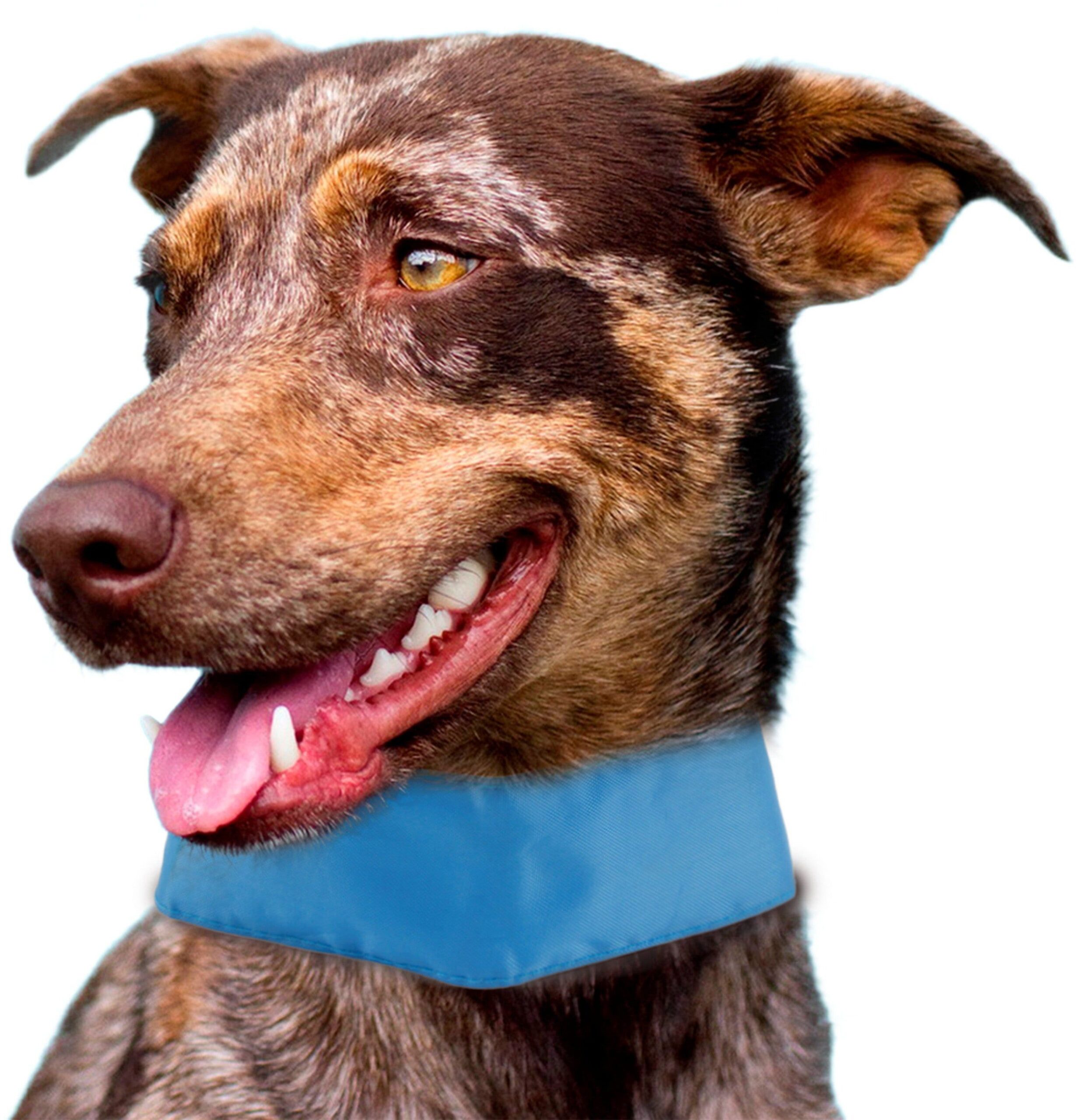 d0102h7l4xa Pet Life Summer-Cooling' Insert Able And Adjustable Cooling Ice Pack Dog Neck Wrap - Image 1