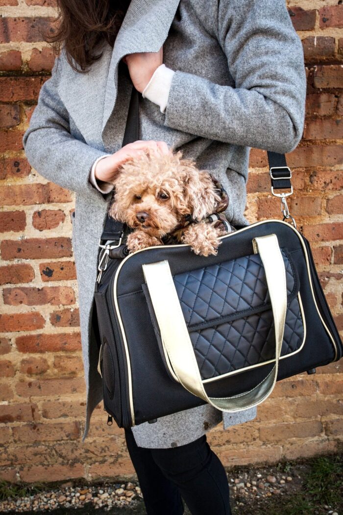 Airline Approved Mystique Fashion Pet Carrier - Image 2