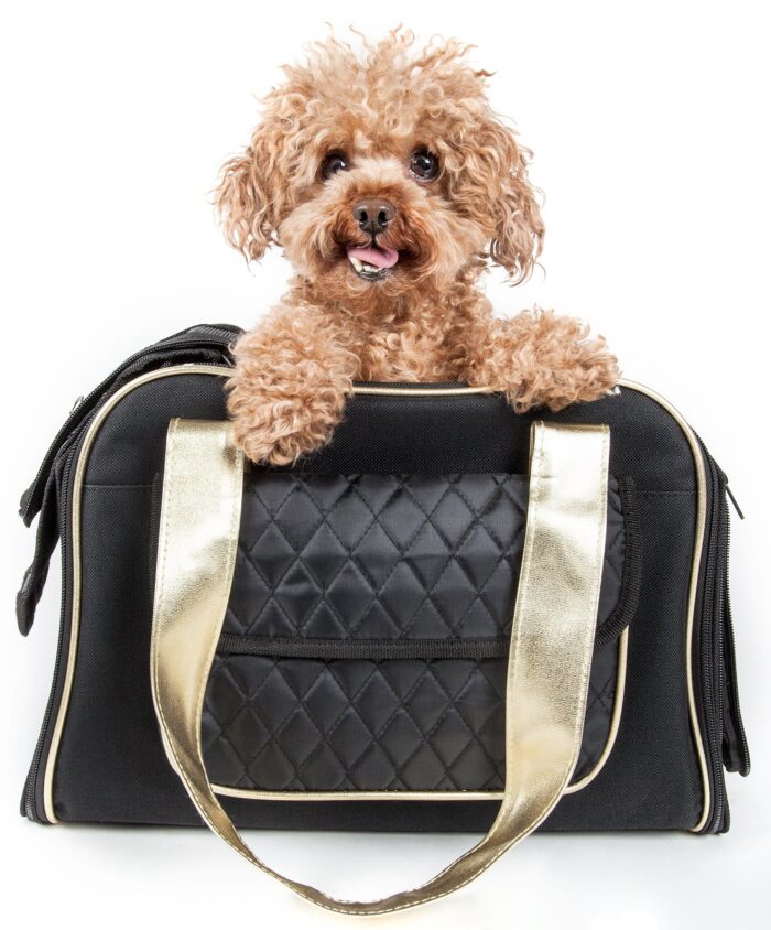 Airline Approved Mystique Fashion Pet Carrier - Image 1