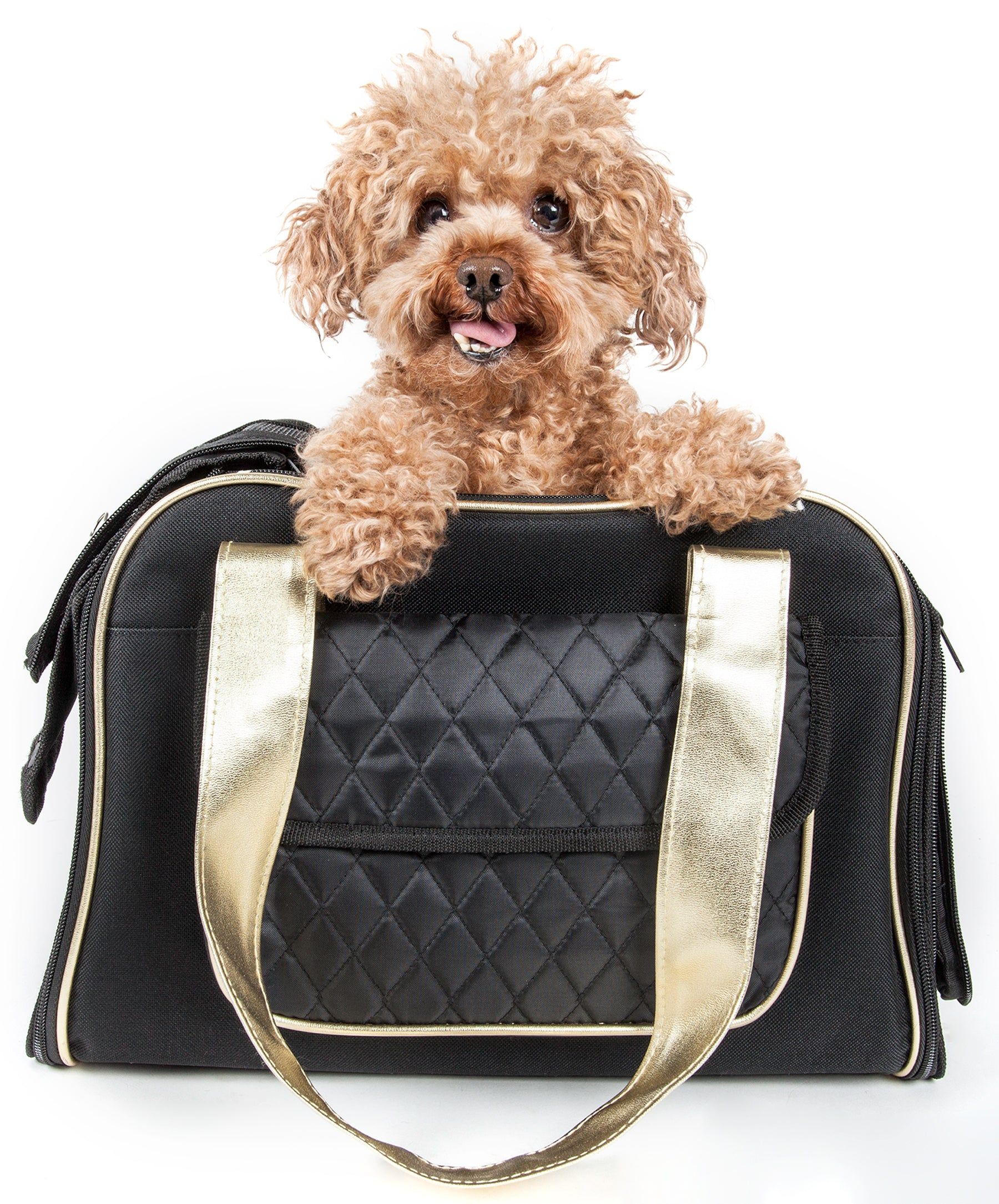 d0102h7lj0w Airline Approved Mystique Fashion Pet Carrier - Image 1