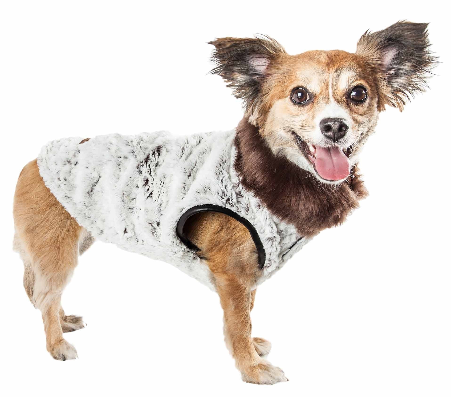 d0102h7lul7 Pet Life Luxe 'Purrlage' Pelage Designer Fur Dog Coat Jacket - Image 1