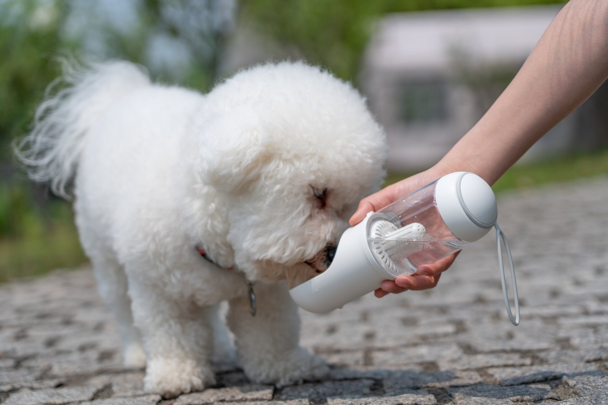 d0102haxiky Pet Life 'PYURE' Handheld Travel Filtered Water Feeder - Image 3