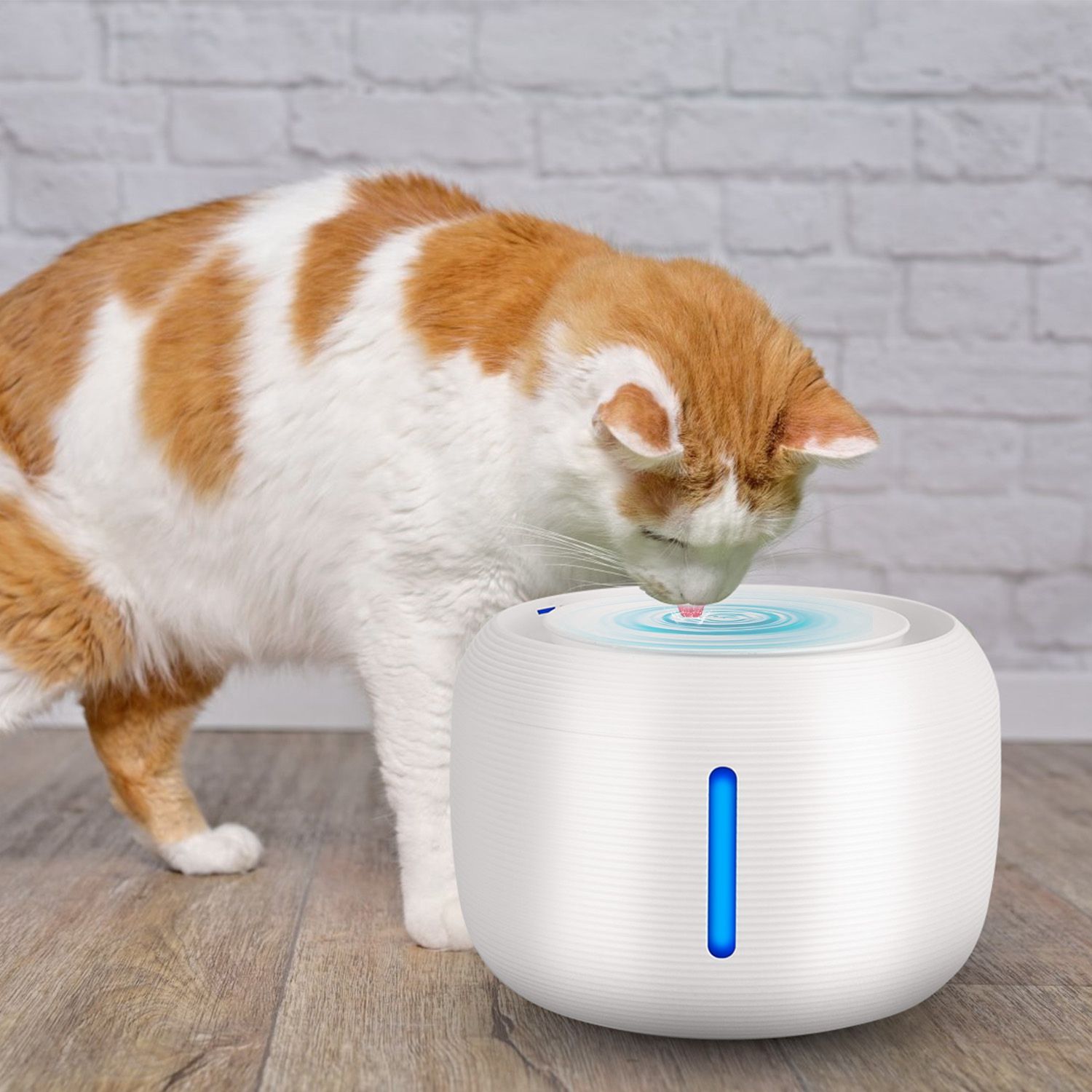 d0102hgp0ay 2.5L 84.54OZ Pet Water Fountain Smart Pet Drinking Fountain with LED Light 7 Pack Replaceable Filters Water Level Quiet Pump Dry-Run Protection Cat Dog - Image 1