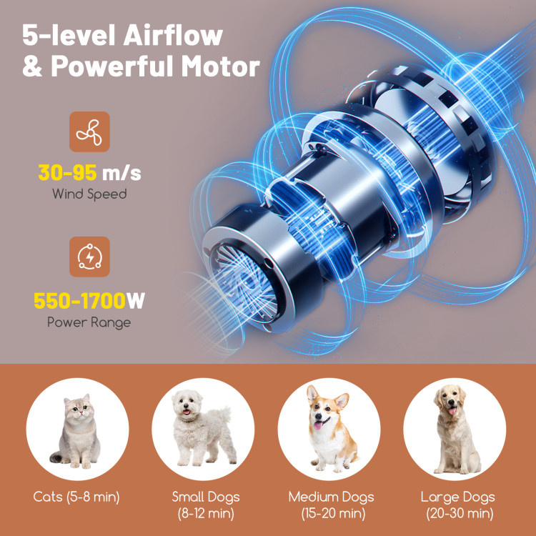 d0102hq8asu Dog Cat Hair Blower with Negative Ion Function and Adjustable Temperature - Image 7