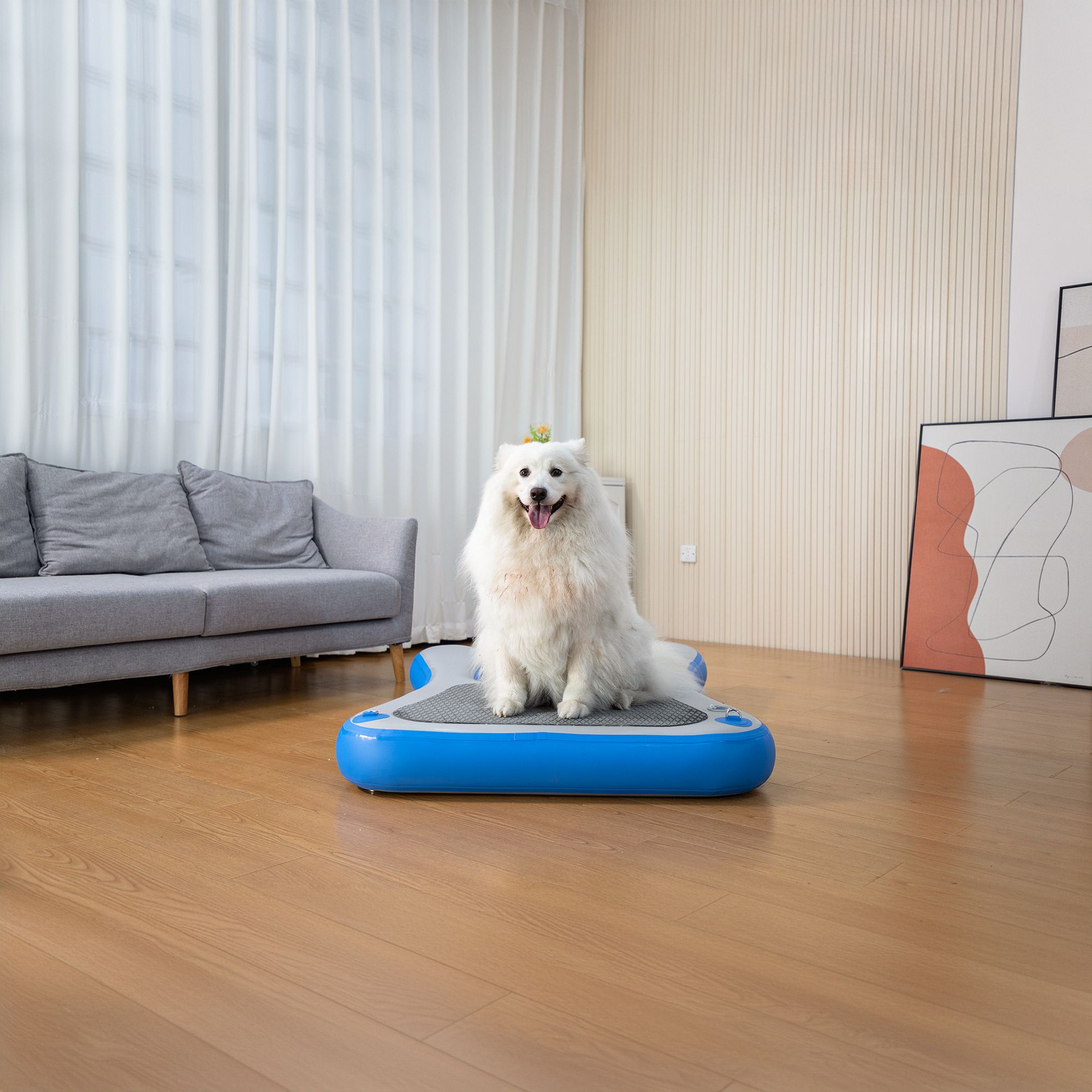d0102hqpl27 Inflatable Floating Dog Water Ramp Ladder - Image 1