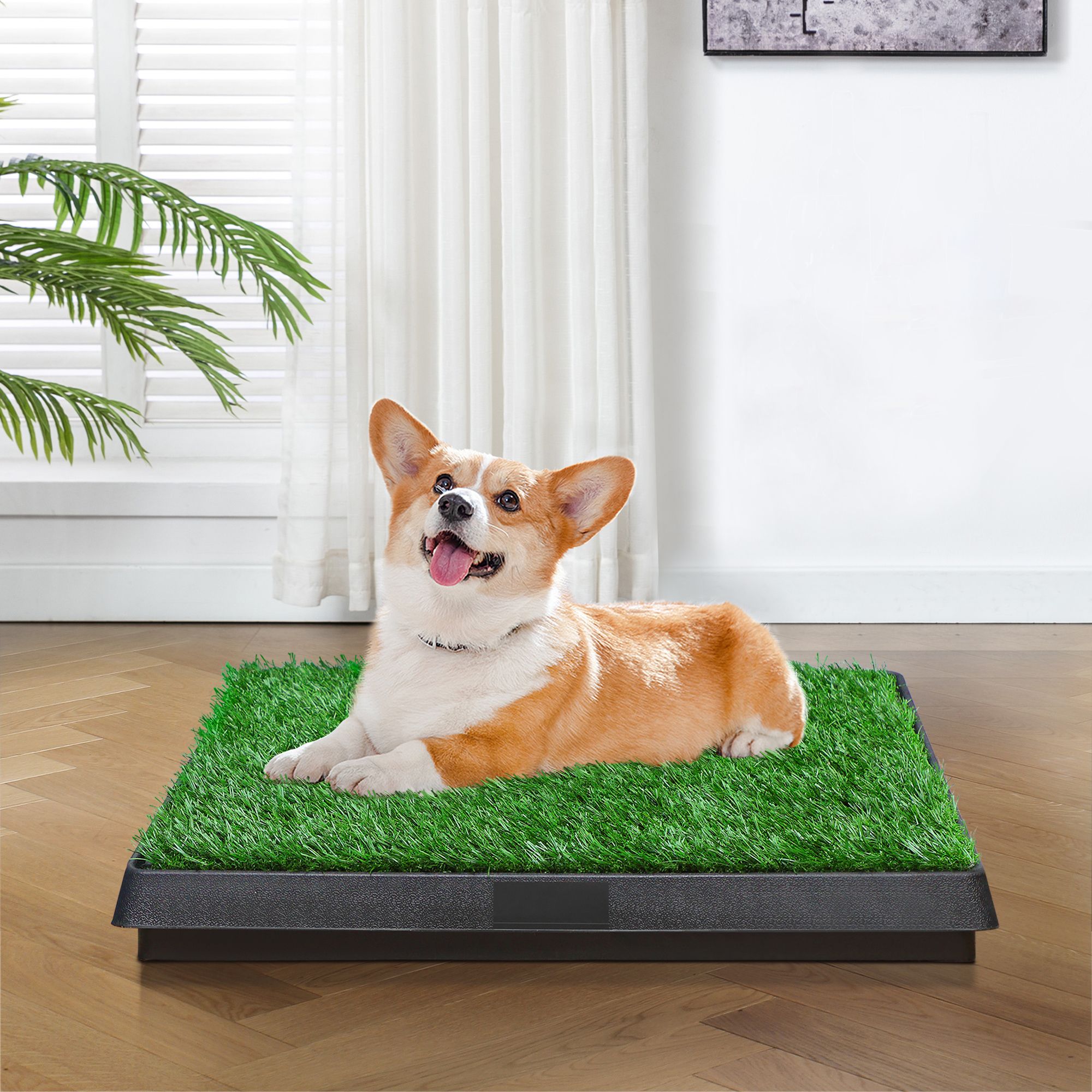 d0102hqyhng Indoor/Outdoor Pet Loo, Dog Litter Box, Portable Dog Litter Box with Tray Outdoor, Puppy Potty Training for Patio, Balcony, Porch - Image 1