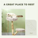 Cat Tree - Image 3