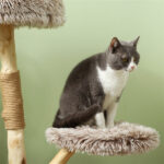 Cat Tree - Image 6