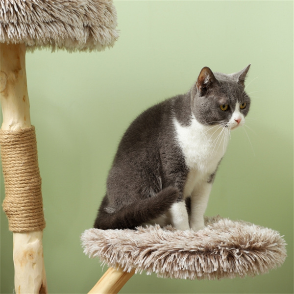 d0102hqzewg Cat Tree - Image 6