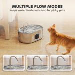 PawHut 246 oz./7L Stainless Steel Cat Water Fountain with Filters, Ultra-Quiet Pump, for Cats, Dogs & Multi-Pet Homes - Image 7